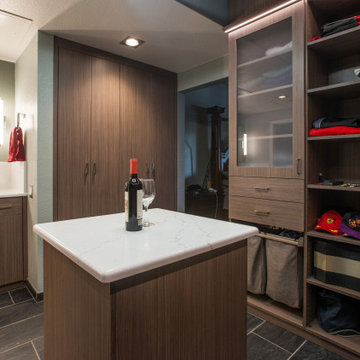 Modern Walk-in with Lighting