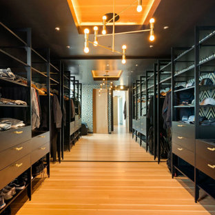 Closet - contemporary medium tone wood floor and brown floor closet idea in Other with flat-panel cabinets and black cabinets