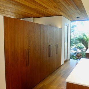 Diseño de vestidor madera, minimalista, con armarios con paneles lisos, puertas de armario de madera oscura y suelo de madera en tonos medios