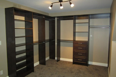 Large transitional gender-neutral carpeted walk-in closet photo in Toronto with raised-panel cabinets and beige cabinets
