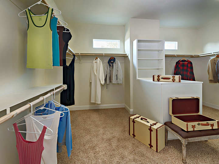 Transitional Closet - Walk-In