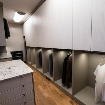 Sleek Contemporary Closet