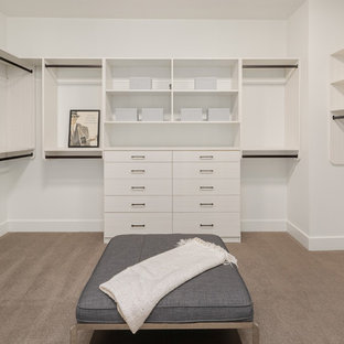 Immagine di una grande cabina armadio unisex minimal con ante lisce, ante bianche, moquette e pavimento grigio