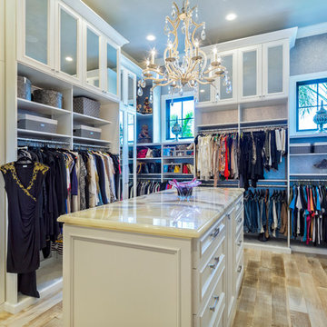 Transitional Closet
