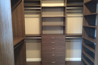 Example of a mid-sized minimalist carpeted walk-in closet design in Detroit with flat-panel cabinets and medium tone wood cabinets