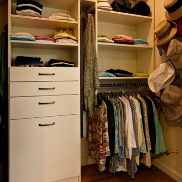 Walk-In Closet w/ Pull Out Mirror