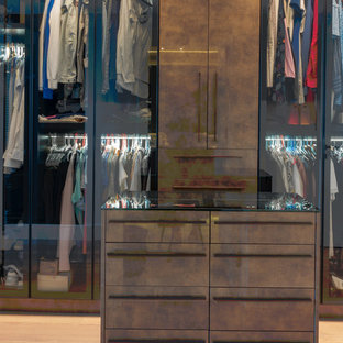 Diseño de armario vestidor unisex, minimalista, grande, con armarios tipo vitrina y puertas de armario marrones