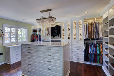 Inspiration for a closet remodel in Chicago