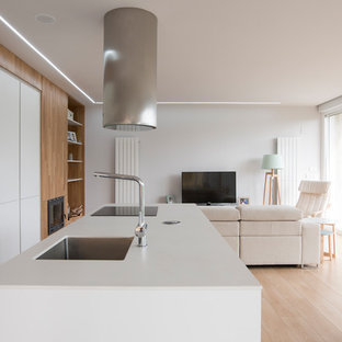 Diseño de cocina de galera, actual, abierta, con armarios con paneles lisos, puertas de armario blancas, electrodomésticos de acero inoxidable, una isla, encimeras blancas, fregadero bajoencimera, suelo de madera clara y suelo beige