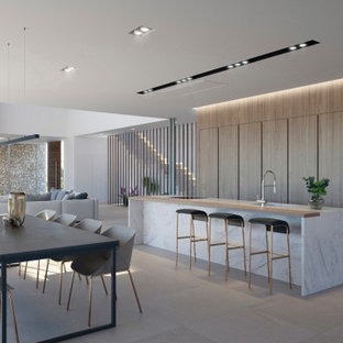 Foto de cocina comedor de galera, contemporánea, extra grande, con fregadero bajoencimera, armarios con paneles lisos, puertas de armario de madera oscura, electrodomésticos con paneles, una isla, suelo gris y encimeras grises