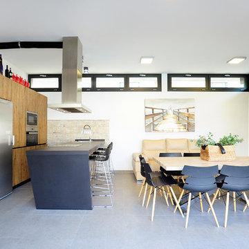 Proyecto integral vivienda aislada