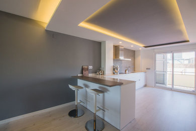 This is an example of a modern kitchen in Other.