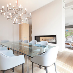Idee per una sala da pranzo aperta verso il soggiorno minimalista di medie dimensioni con pareti bianche, parquet chiaro, cornice del camino in intonaco e camino bifacciale