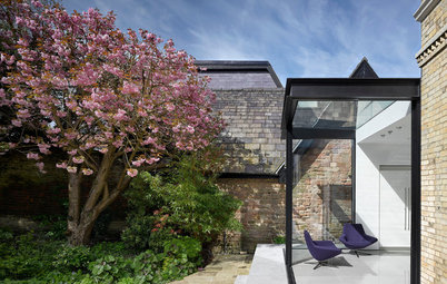 Room Tour: A Period House Gets a Dramatic Glass Kitchen Extension