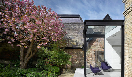 Room Tour: A Period House Gets a Dramatic Glass Kitchen Extension