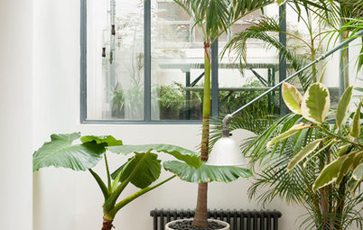 12 Ways to Make Your Flat Feel Like It Has a Garden