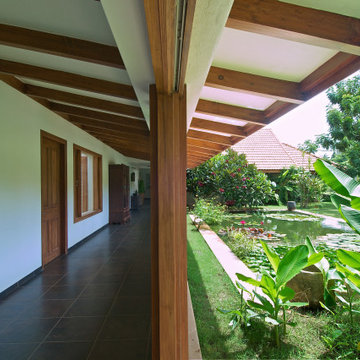 The Tropical House