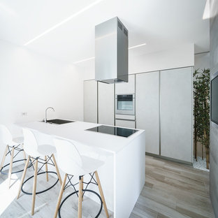 Foto di una cucina minimalista con ante lisce, elettrodomestici in acciaio inossidabile, penisola, top bianco, lavello a vasca singola, ante grigie e parquet chiaro