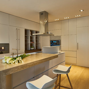 Foto di un cucina con isola centrale contemporaneo con lavello integrato, ante lisce, ante grigie, elettrodomestici da incasso, pavimento in legno massello medio e top grigio