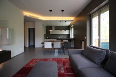 Esempio di una cucina abitabile minimalista di medie dimensioni con elettrodomestici in acciaio inossidabile e pavimento grigio