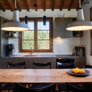 Ispirazione per una piccola cucina country con lavello sottopiano, ante con riquadro incassato, ante grigie, elettrodomestici da incasso, nessuna isola, top grigio e soffitto in legno