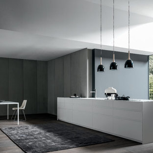 Cette image montre une cuisine américaine linéaire design avec un placard à porte plane et un îlot central.