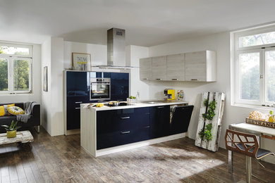 Foto de cocina urbana de tamaño medio abierta con una isla, fregadero bajoencimera, puertas de armario azules, electrodomésticos con paneles y suelo de madera en tonos medios