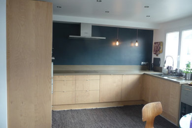 Idée de décoration pour une cuisine ouverte minimaliste en U de taille moyenne.