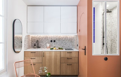18 Petite French Apartments Under 20 Square Metres