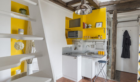 Houzz Tour: Color, Wood and Industrial Style Meet in Paris
