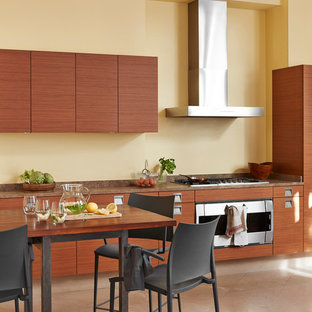 Aménagement d'une grand cuisine américaine linéaire contemporaine avec un placard à porte plane, des portes de placard en bois brun, un électroménager en acier inoxydable et un îlot central.