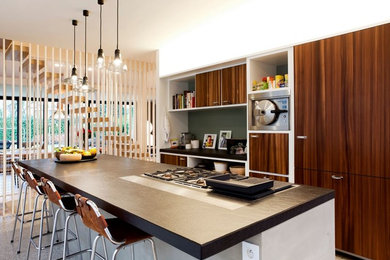 This is an example of a modern kitchen in Brussels.