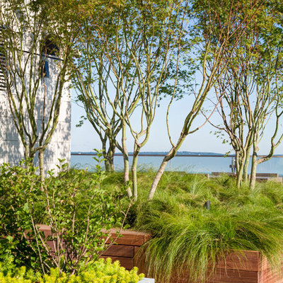 Large trendy rooftop deck container garden photo in Boston with no cover