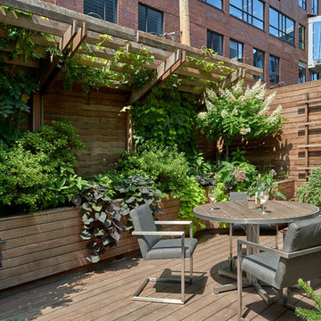 A Rooftop Oasis