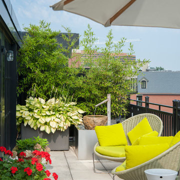 Arlington Loft Terrace