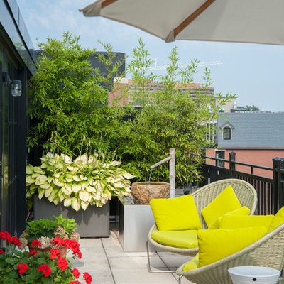 Deck container garden - contemporary rooftop second story deck container garden idea in DC Metro with no cover