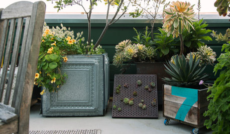 10 Repurposed Containers for a One-of-a-Kind Potted Garden