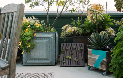 My Houzz: See How a Garden Author Brings Nature to the City
