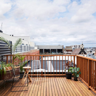 Idee per una terrazza minimal sul tetto e sul tetto con un giardino in vaso e nessuna copertura