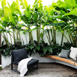 Small contemporary backyard deck in Sydney with a pergola.