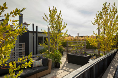 Ejemplo de terraza contemporánea en azotea con jardín de macetas