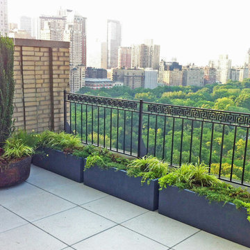 Central Park Roof Garden: Terrace, Paver Deck, Patio, Metal Fence, Containers