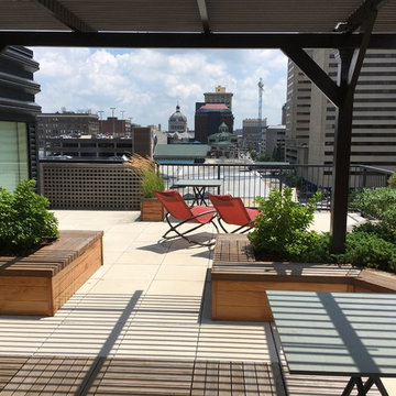 City Life / Rooftop Garden