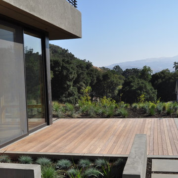 concrete stepping pads, Ipe' deck, water feature, grasses