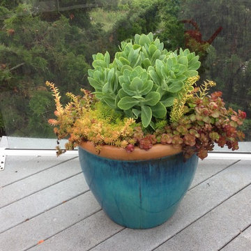 container gardens