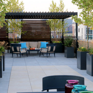 Contemporary Lakeview Roof Deck