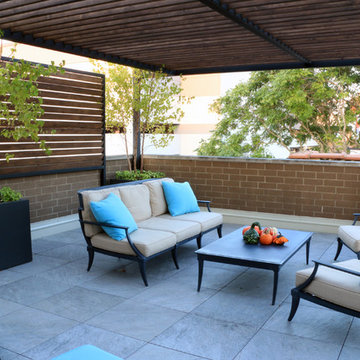 Contemporary Lakeview Roof Deck