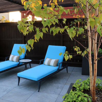 Large trendy rooftop deck container garden photo in Chicago with a pergola