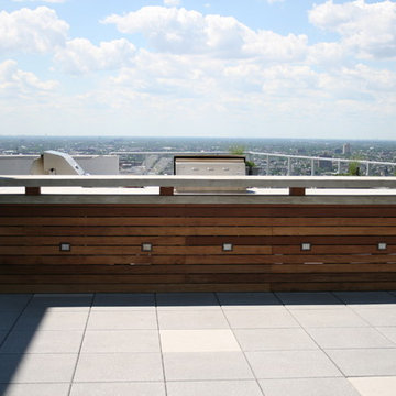 Contemporary Roof Top with Skyline View