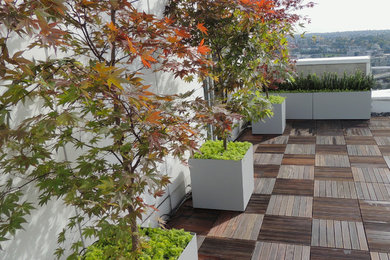 Ejemplo de terraza minimalista en azotea con jardín de macetas
